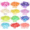 thumbnail image 2 of Brillo Luminoso Para Uñas De 12 Colores Que Brilla En La Oscuridad Brillo Holográfico Grueso Para Manualidades Y Decoración De Fiestas Guardurnaity CE007392-02, 2 of 6