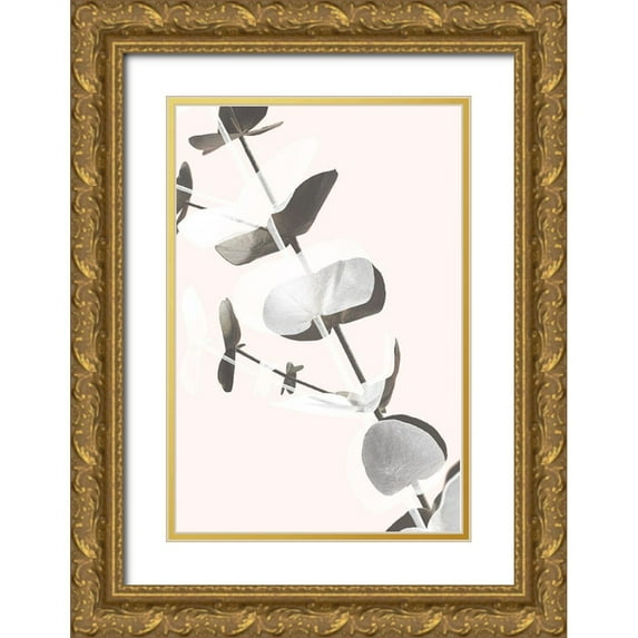 Artographie Studio 11x14 Gold Ornate Wood Framed with Double Matting Museum Art Print Titled - Eucalyptus Creative 13
