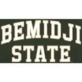 thumbnail image 2 of Men's Green Bemidji State Beavers Everyday T-Shirt, 2 of 2