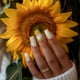 thumbnail image 4 of Juego de 3 placas de estampado de uñas con diseño de panal de abeja, estampador de uñas de miel con diseño de girasol, plantillas artísticas, placa de imagen de acero inoxidable, 4 of 7
