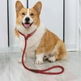 thumbnail image 3 of Slip Lead Dog Leash, Rope Dog Walking and Training Lead, No Pull Strong Nylon Leash, 3 of 5