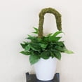 thumbnail image 4 of Varilla Para Plantas De Musgo, Plantas De Estimulación Flexibles, Poste De Musgo, Soporte Para Plantas, Herramientas De Jardinería Seguras Para Vid YLSHRF Paquete de caja de 2 postes de musgo ordinario, 4 of 8