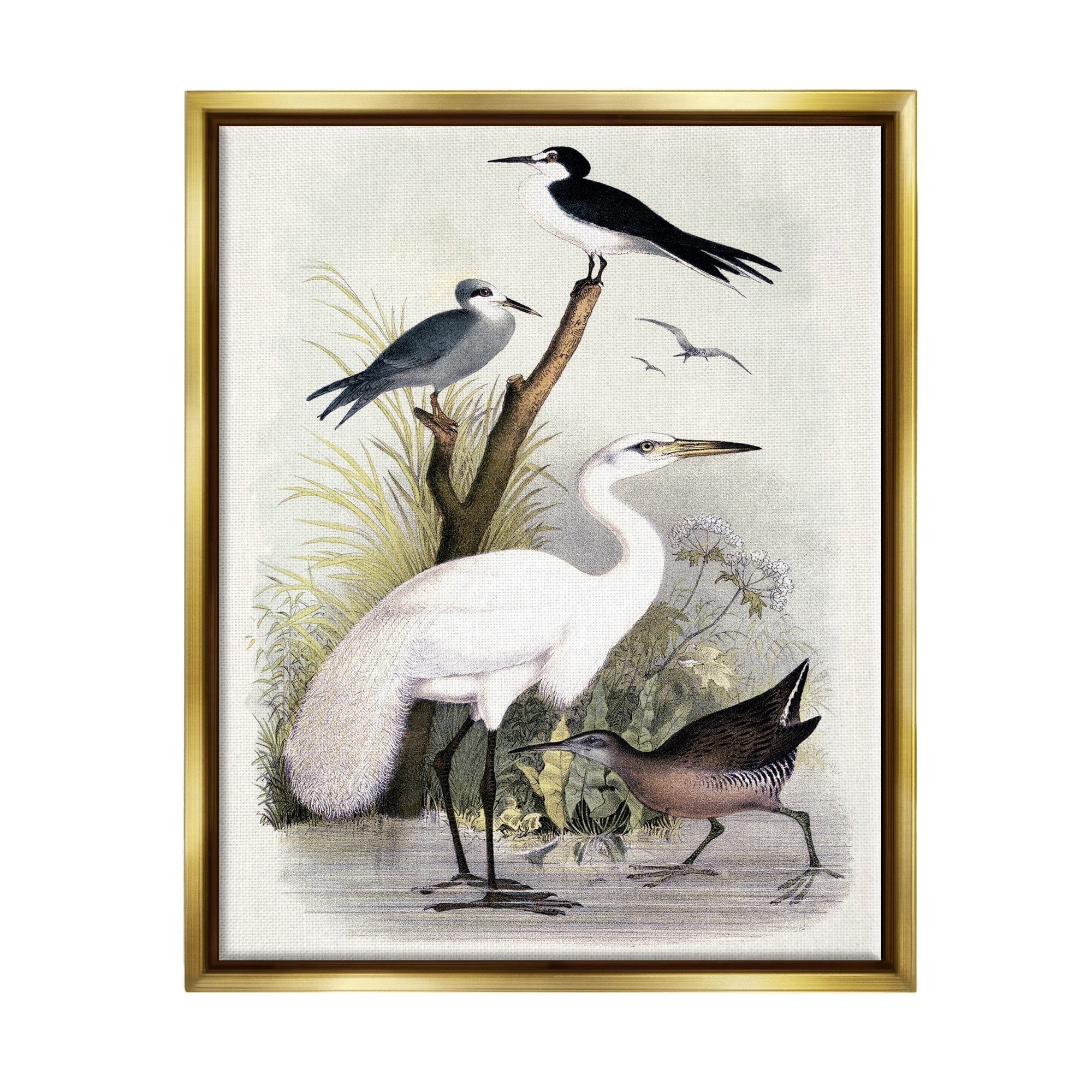 Stupell Industries Varied Crane Birds Gathered Riverbank Stream Botanicals Painting Metallic Gold Floating Framed Canvas Print Wall Art, Design by Piddix
