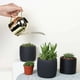 thumbnail image 3 of Golden Touch: regadera de acero inoxidable resistente a los arañazos para plantas de interior, agarre ergonómico que garantiza una experiencia de jardinería sin esfuerzo, 3 of 5
