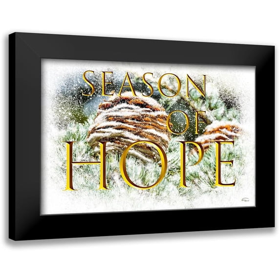 Murdock, Ramona 18x13 Black Modern Framed Museum Art Print Titled - Season of Hope