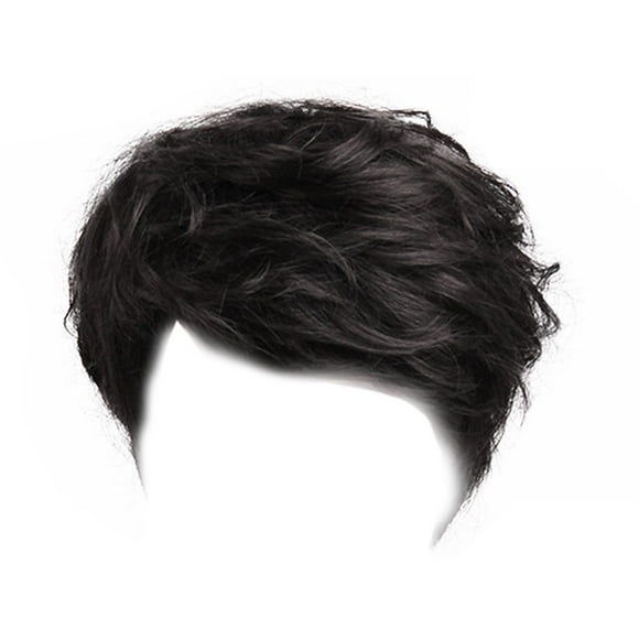 lionlar Human Hair Wigs for Mens' Male Short Hair Full Wig Costume Cosplay Wigs (Black)