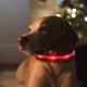 thumbnail image 4 of Colr de perro con luz LED con pis, suministros para mascotas, cachorros, luz nocturna para gatos Rojo Yuyangstore Collar luminoso, 4 of 8