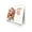 A, variant on 2026 Calendar Kit Tool For Living Room Bedroom Desk New Christmas Office Year Gifts