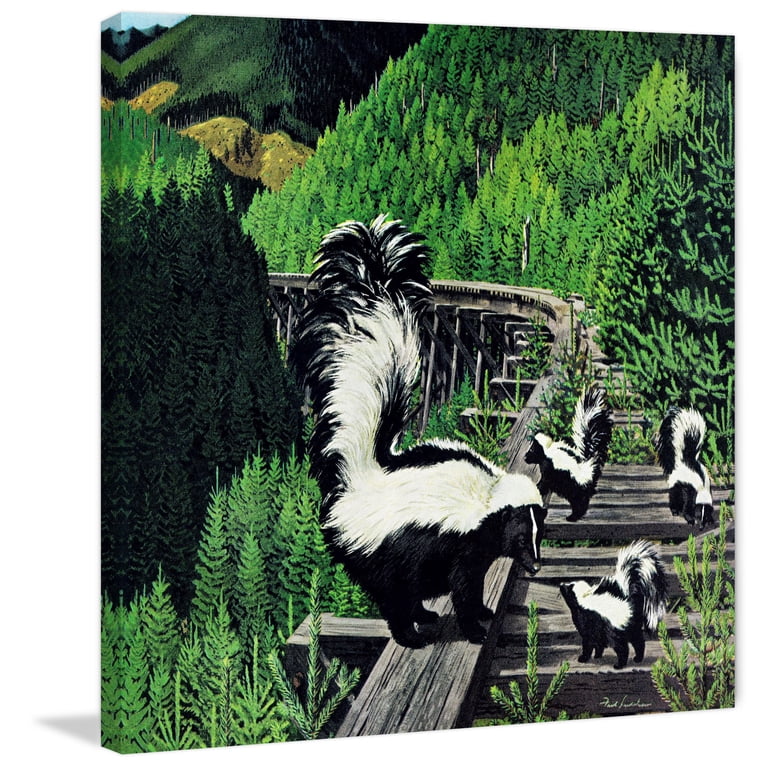 MARM8994 Skunk Family Painting Print - 32x32 Canvas - Walmart.com