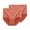 Orange, variant on Fancifize 2 PCS Women's High Waisted Underwear Tummy Control Full Coverage Ladies Panties Plus Size Soft Briefs