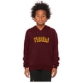 thumbnail image 2 of Daxton Youth Unisex Pullover Cities States Hoodie Mid-Weight Fleece Sweater - Florida Burgundy Gold, S, 2 of 3