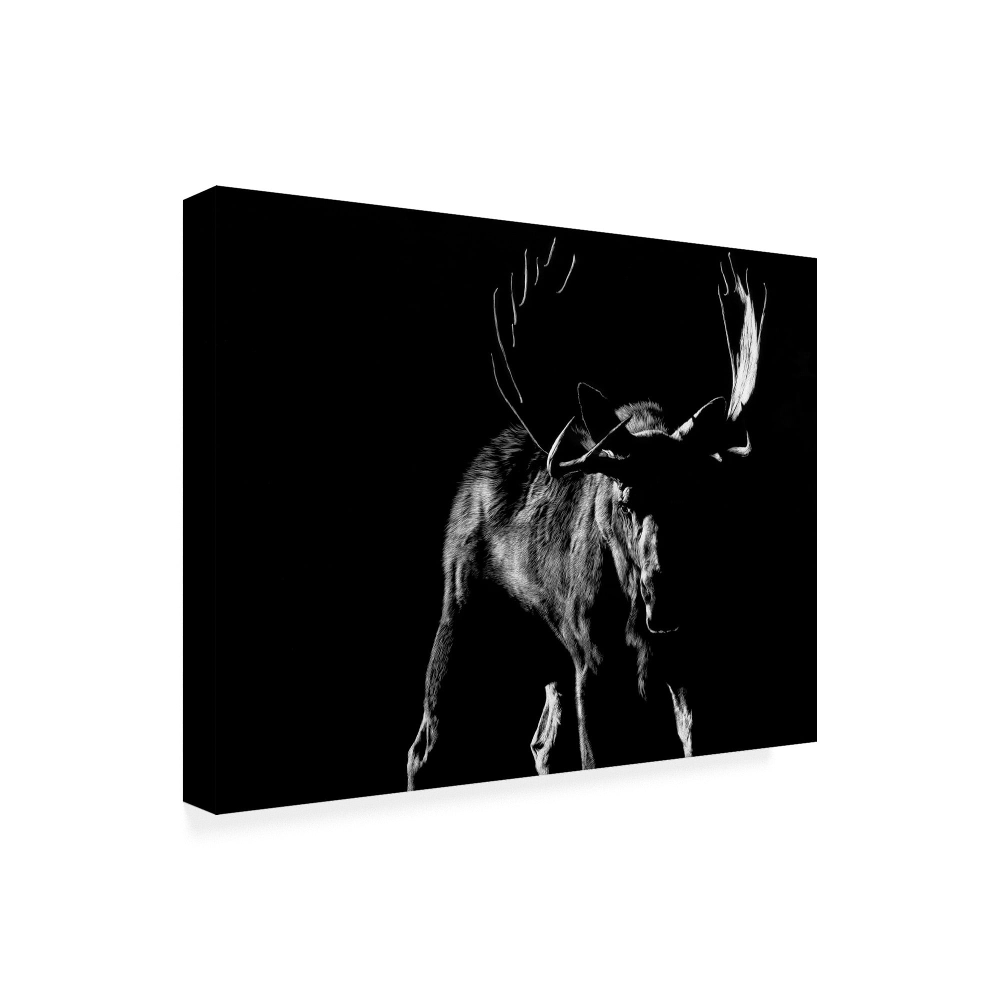 Trademark Fine Art 'Bullish' Canvas Art by Julie Chapman