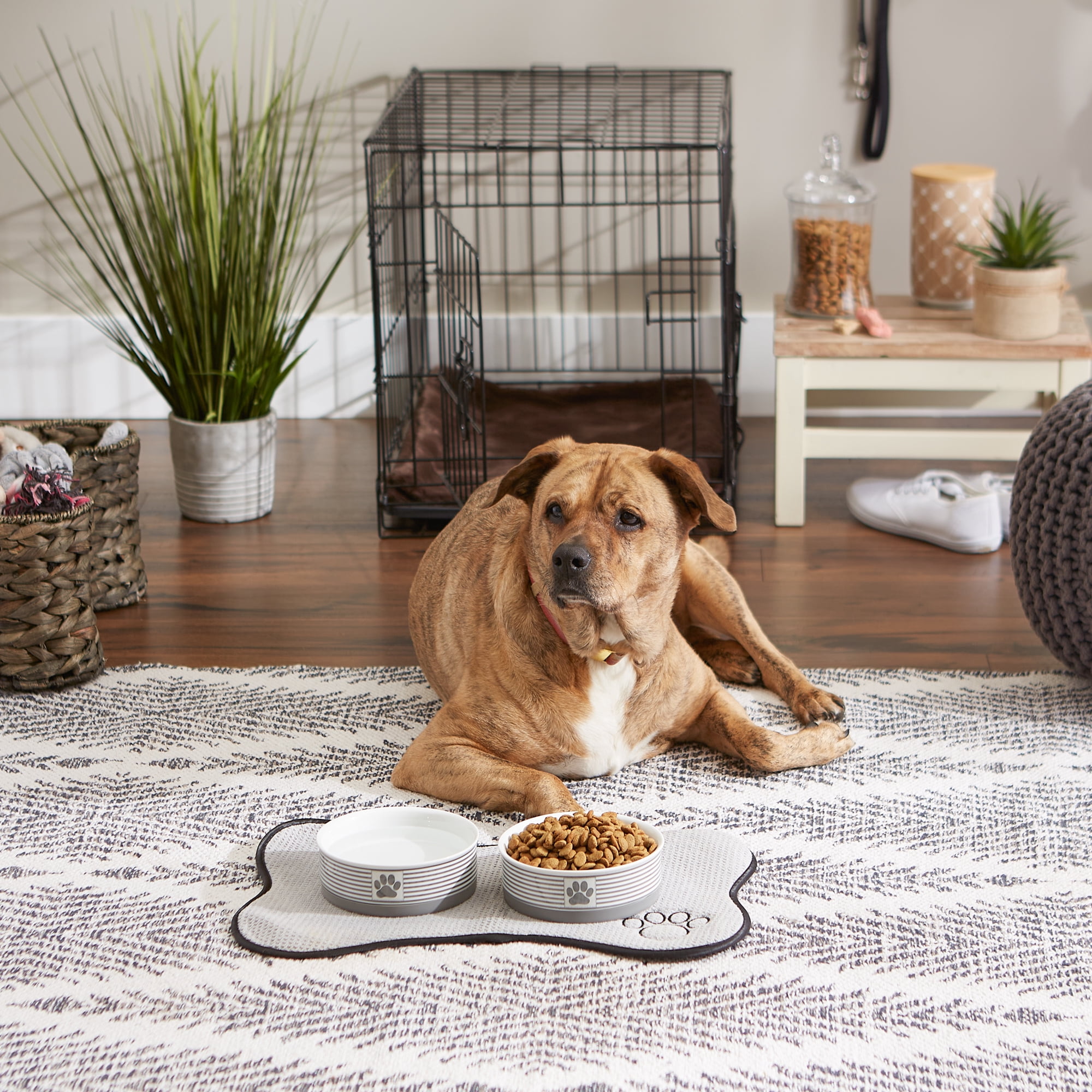 Bone Dry Chevron Ceramic Pet Bowls, Dishwasher Safe, Gray, Medium Bowl Set, 6x2", 2 Count