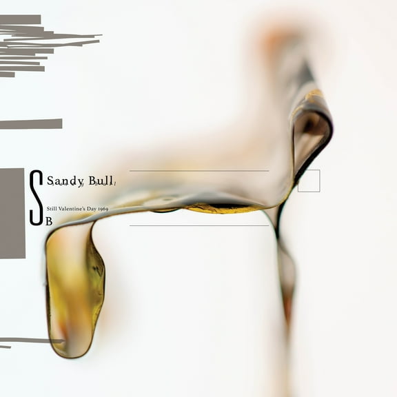 Sandy Bull - Still Valentine's Day 1969 - Music & Performance - Vinyl