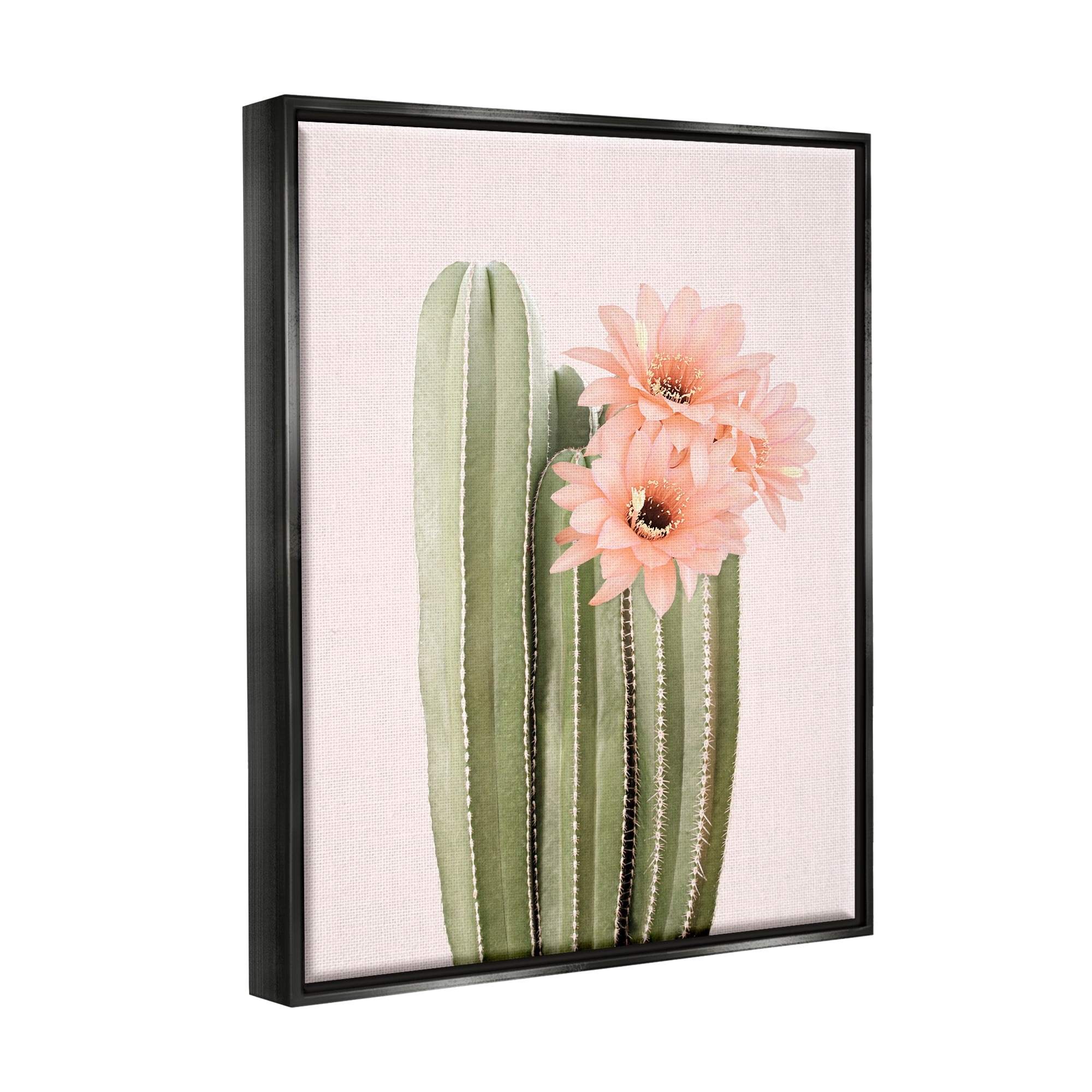 Stupell Industries Pink Flower on Cactus Botanical & Floral Painting Black Floater Framed Art Print Wall Art, 17 x 21