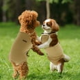 thumbnail image 4 of Pantalones fisiológicos reutilizables y lavables para perros con correa ajustable, pequeños y medianos, gatos S, color amarillo, 4 of 7