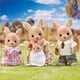 thumbnail image 2 of Muñecas coleccionables Toy Calico Critters Hopper Kangaroo Family, 2 of 5