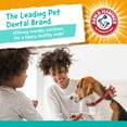 thumbnail image 5 of Arm & Hammer Mint Flavor Dry Dental Treats for Dogs, 6.2 oz. (5 Count), 5 of 8