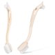 thumbnail image 5 of unbranded 2Ud Beige Para Zapatos Y De De Guardar Y Transportar, 5 of 8
