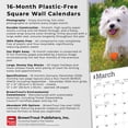 thumbnail image 6 of West Highland White Terriers | 2026 12x24" (Hanging) Wall Calendar | Plastic-Free, 6 of 9