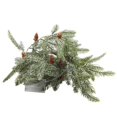 thumbnail image 1 of Matsuzay Cadena de luz de de pino Cadena de lámpara de árbol de pino de alto brillo Kit de luz de árbol de pino LED flexible Cadena de luz de Iluminación navideña Matsuzay HA016643-00, 1 of 3