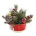 thumbnail image 3 of Flora Bunda CH1833E-RD XMAS MIX IN 6' Ceramic Reverse Tree Pot, MD, 3 of 4