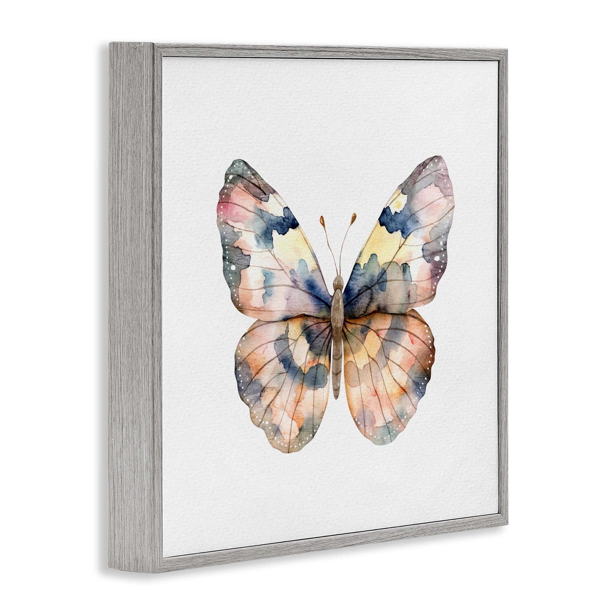 Stupell Industries Traditional Watercolor Butterfly Gray Framed Giclee Art, design by Kim Allen