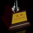 thumbnail image 2 of CSYANXING Module de Base Réplique Détaillée Chine Tianhe, Mise en Valeur des Innovations de la Station Spatiale pour Musées et Expositions Aérospatiales, 2 of 8