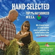 Small Pet Select Orchard Grass Hay Pet Food for Rabbits, Guinea Pigs, Chinchillas and Other Small Animals, Premium Natural Hay Grown in The US, 10 LB
