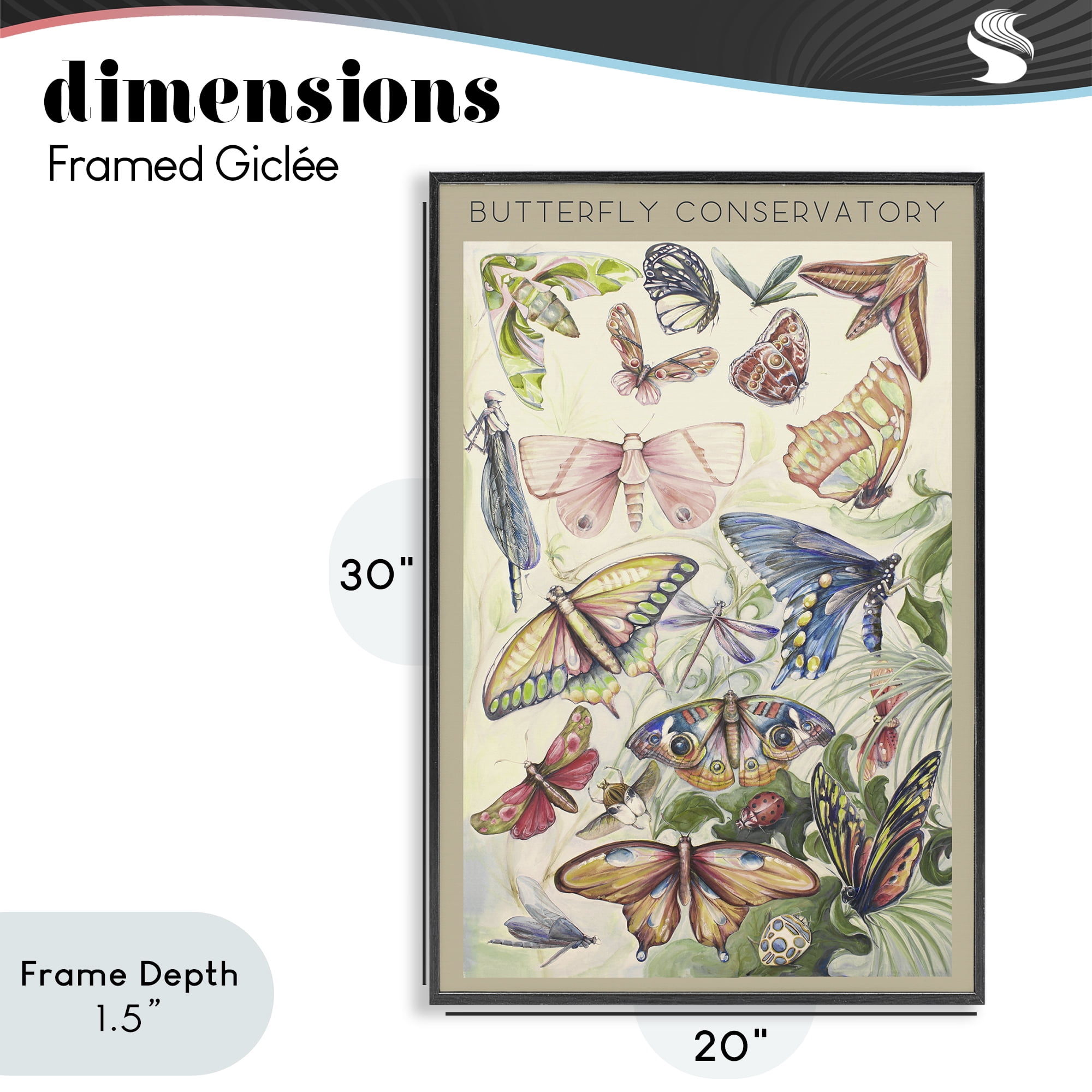 Stupell Industries Butterfly Conservatory Insects Black Framed Giclee Art, design by Diannart