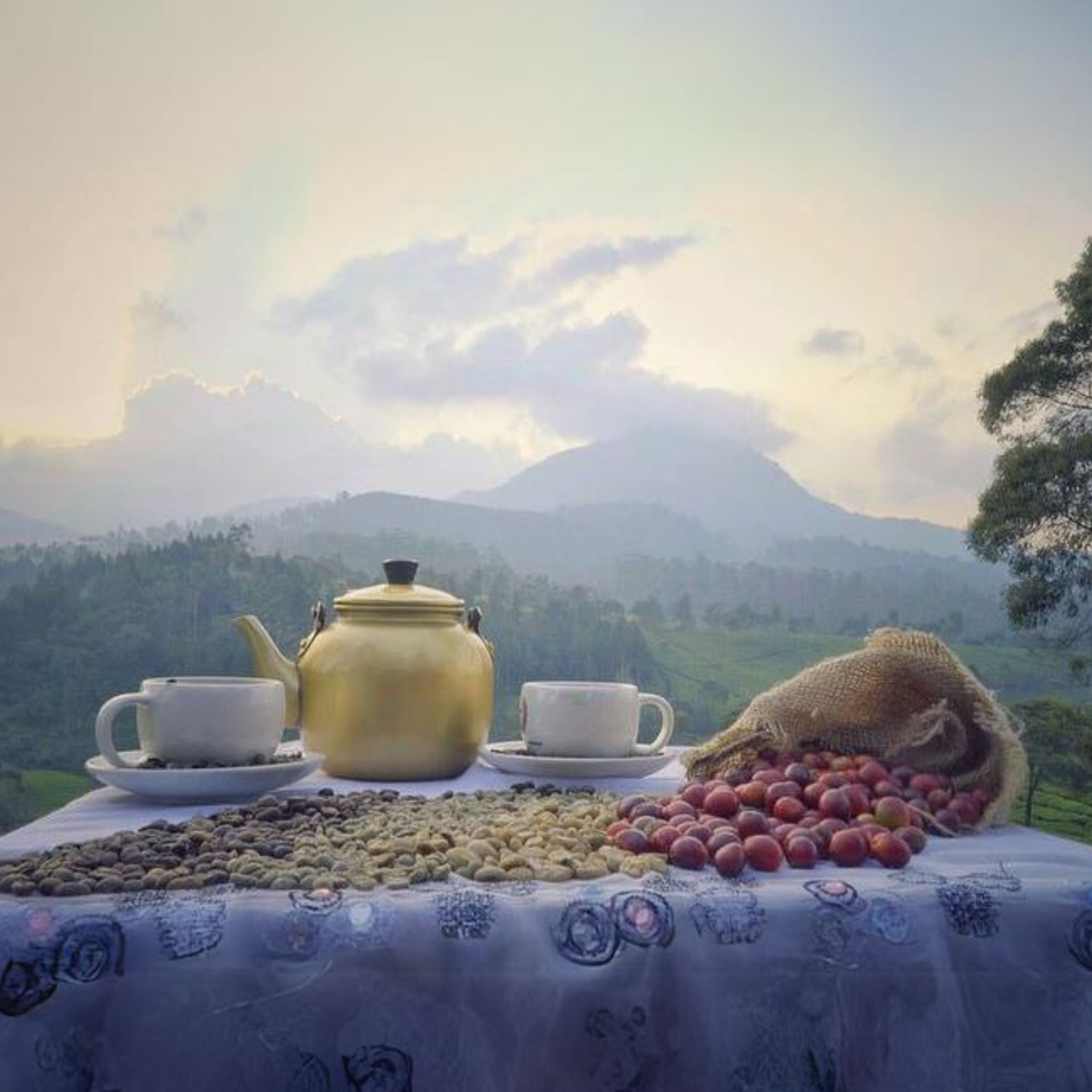 Premium Kopi Campur From Indonesia Wild Palm Civets Arabica Coffee Beans, Medium Roast, 250 Grams