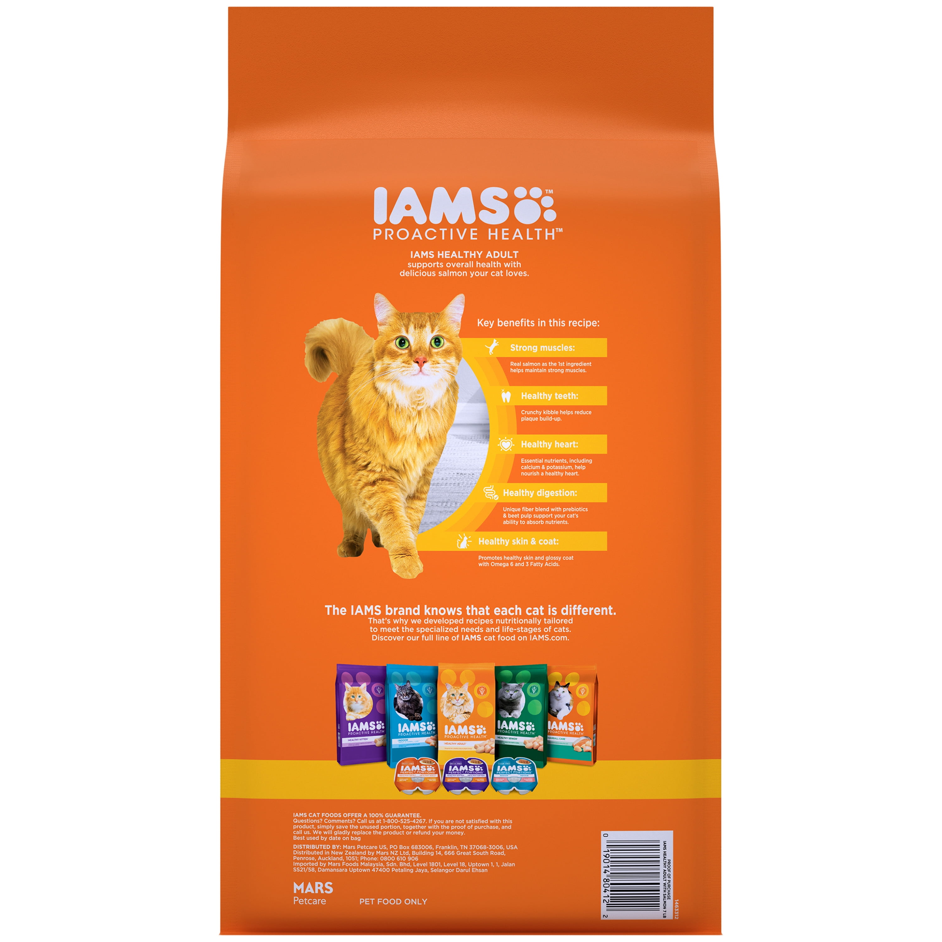 iams salmon cat food