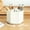 White, variant on Pencil Pen Holder for Desk, 6 Slots 360 Degree Rotating Desk Organizer, Desktop Storage Stationery Supplies Organizer, Cute Pencil Cup Pot for Office, Home