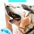 thumbnail image 3 of Coloody Pet Bite-Resistant Chewing Dog Rope Tooth Cleaning 4-Piece Interactive Toy, 3 of 6