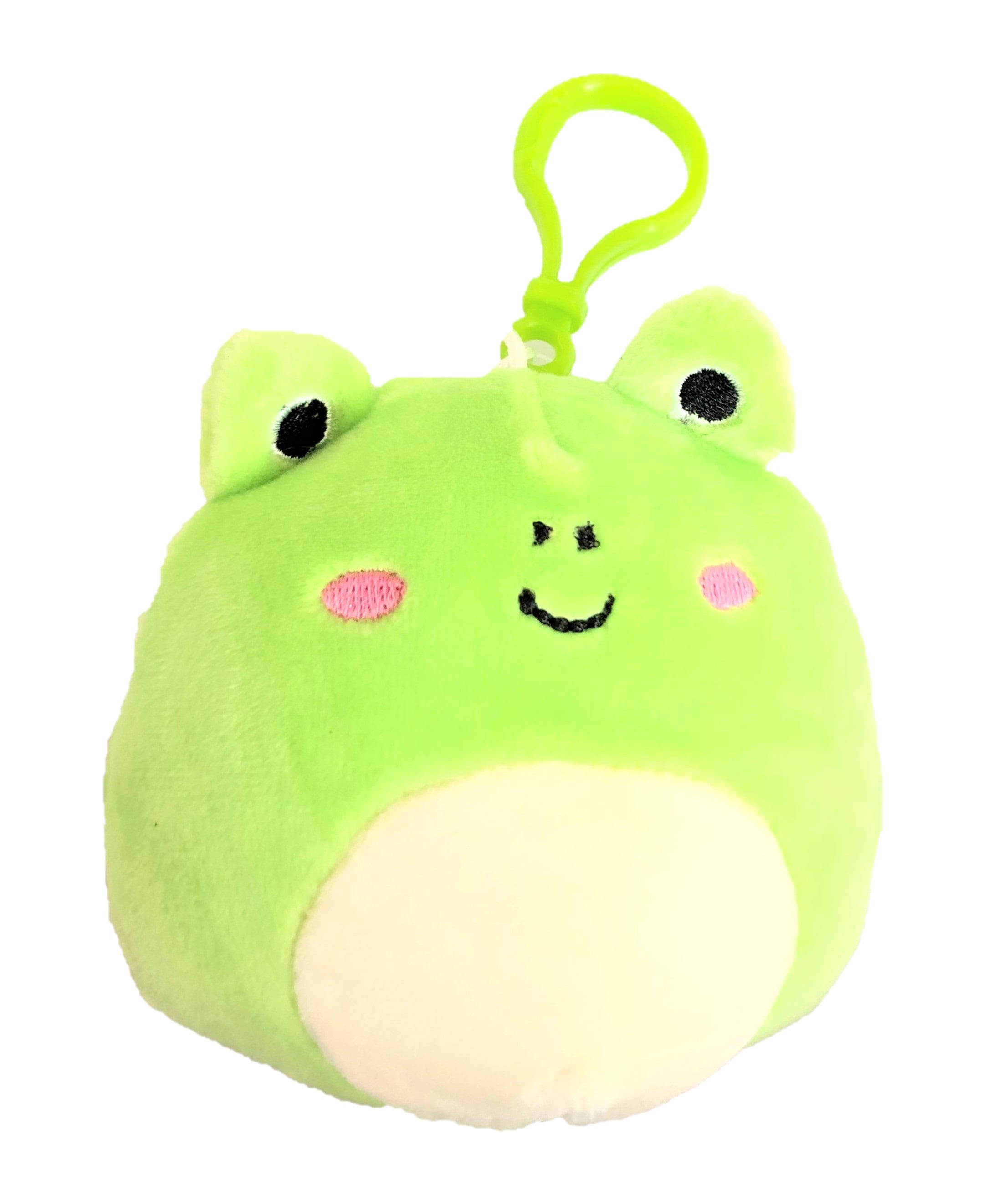 Wendy The Frog Squishmallow 2024
