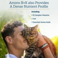 thumbnail image 5 of Rx Vitamins Amino B+K - Cat Vitamin B & Potassium Supplement for Cats - with Amino Acids Taurine & Lysine - Aids in Cat Kidney Support & Immune Support for Cats - Liver & Bacon 4oz, 5 of 8