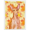 thumbnail image 1 of Carolines Treasures BB9976GF Pharaoh Hound Fall Flag - Garden Size, 1 of 3