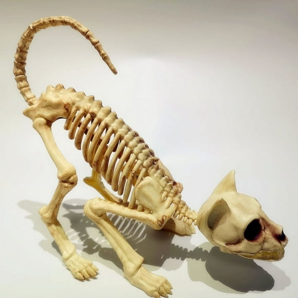 Zshan 1 Pack Halloween Tower Decoration Props Skeleton Cat Skeleton Re