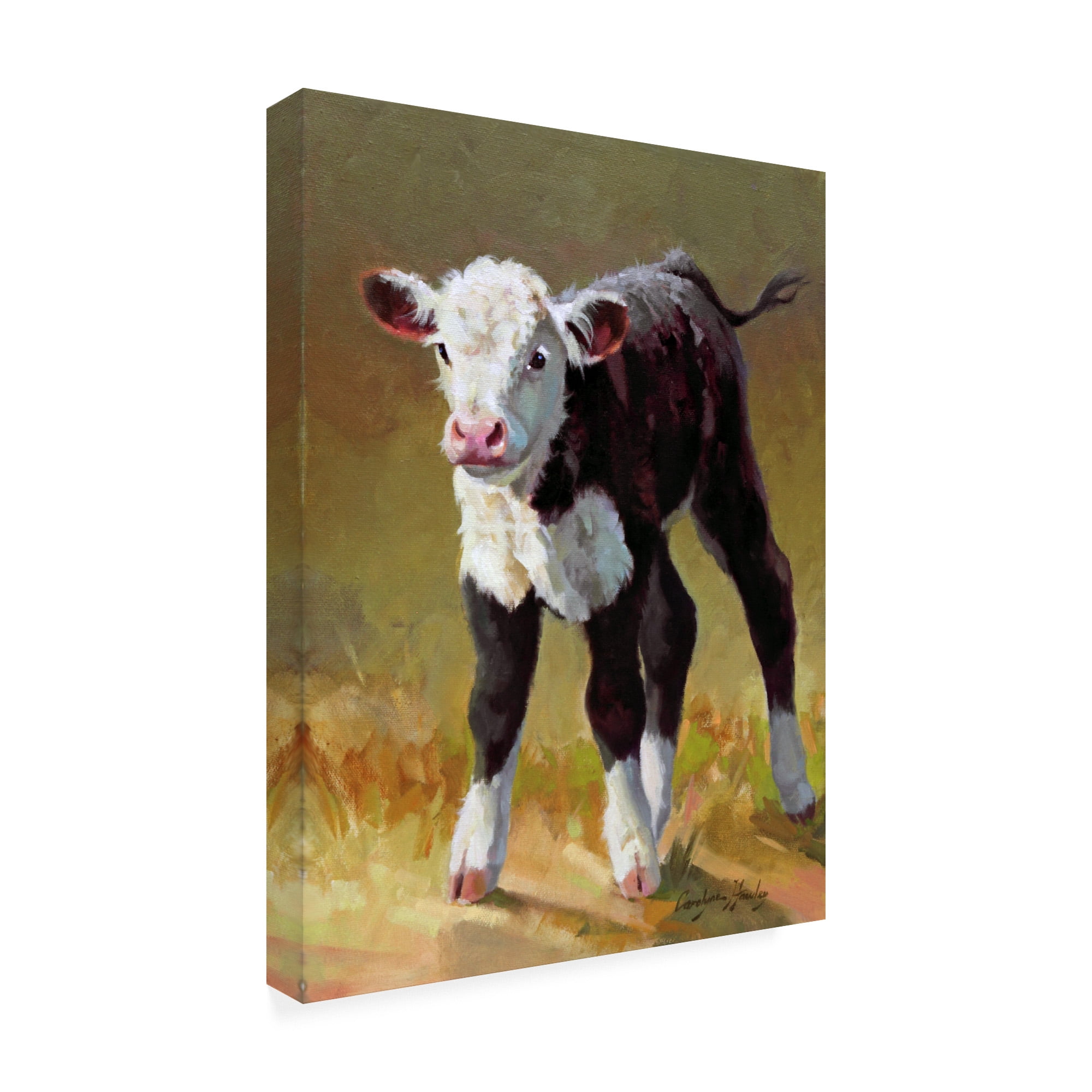 Trademark Fine Art 'Princess Cow' Canvas Art by Carolyne Hawley