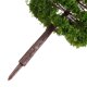 thumbnail image 3 of Árbol modelo del paisaje del paisaje 20pcs 9CM (verde oscuro), 3 of 7