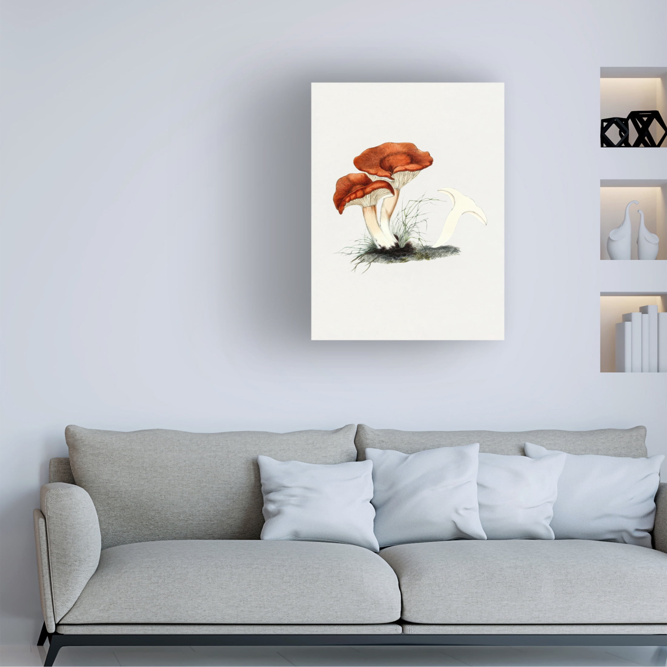 Trademark Fine Art Pictufy  Hand Drawn Rufous Milkcap Mushroom Canvas Wall Art