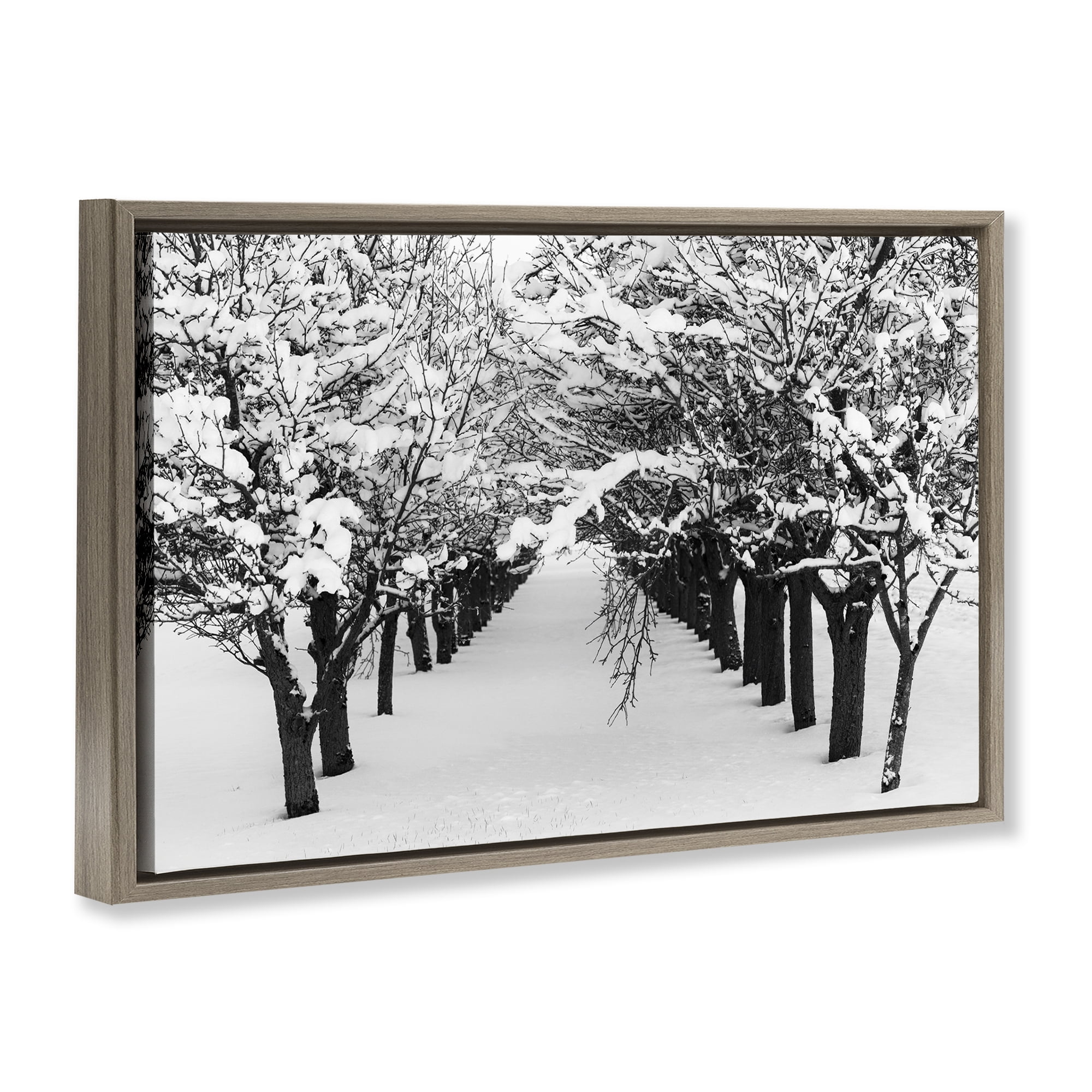 Stupell Industries Winter Tree Pathway Landscape & Nature Photography Brown Floater Framed Canvas Art Print Wall Art, 31 x 21
