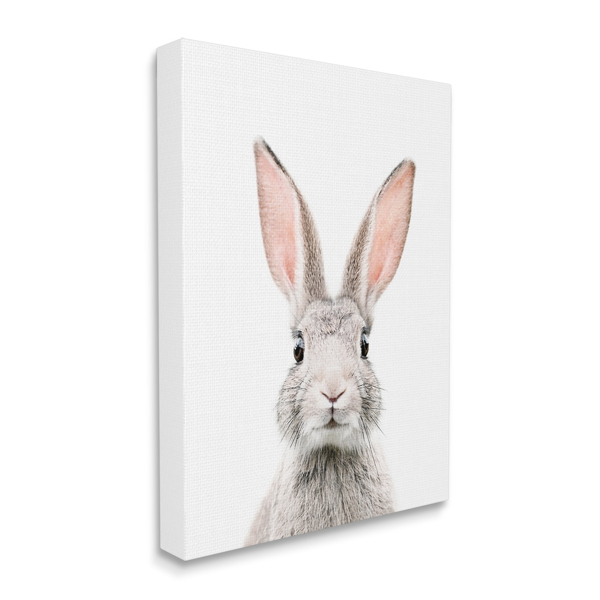 Stupell Industries Rabbit Face Portrait Animals & Insects Painting Gallery Wrapped Canvas Print Wall Art, 24 x 30