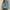 Blue, variant on POTETI Womens Hoodies Plus Size Casual Long Sleeve Sweatshirts Vintage Pullover Tops
