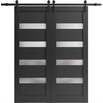 Sturdy Double Barn Door 48 x 80 inches | Quadro 4113 Matte Black Frosted Glass | 13FT Rail Hangers Heavy Set | Solid Panel Interior Doors