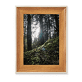 thumbnail image 1 of Dark Green Forestry Science Nature Scenery Desktop Wooden Photo Frame Display Picture Art Painting Multiple Sets, 1 of 3