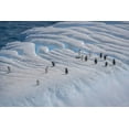 thumbnail image 2 of Jaynes Gallery 24x17 Black Ornate Wood Framed with Double Matting Museum Art Print Titled - Antarctica-South Georgia Island-Coopers Bay Penguins on iceberg, 2 of 4