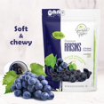 Gourmet Grove Premium Dried MMF7 Raisins 20 oz Pouch GlutenFree