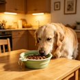 thumbnail image 2 of Collapsible Dog Bowl Silicone, 2 Pack Pet Travel Bowls | Foldable Water Feeder Dish for Small to Large Dogs Cat Walking Hiking Camping, Portable Dog Bowl, 2 of 6
