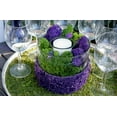 thumbnail image 2 of Super Moss 25124 Mousse de Renne Violette, 2 of 3